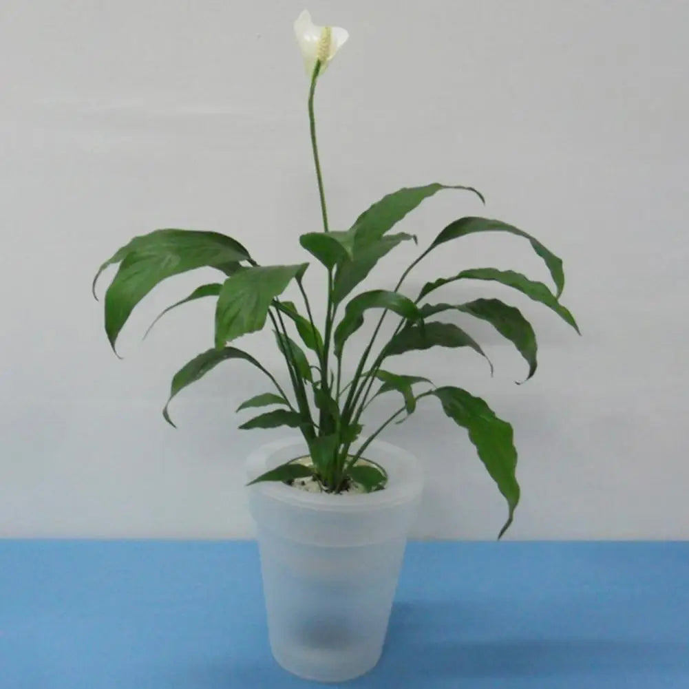 Light Weather-resistant Luminous Easy Installation Outdoor Wireless LED Solar Plant Pot