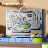 Montessori Motorized Train & Gravity Maze Toy